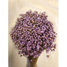 STAR FLOWERS Lavender 12" (BULK)-OUT OF STOCK